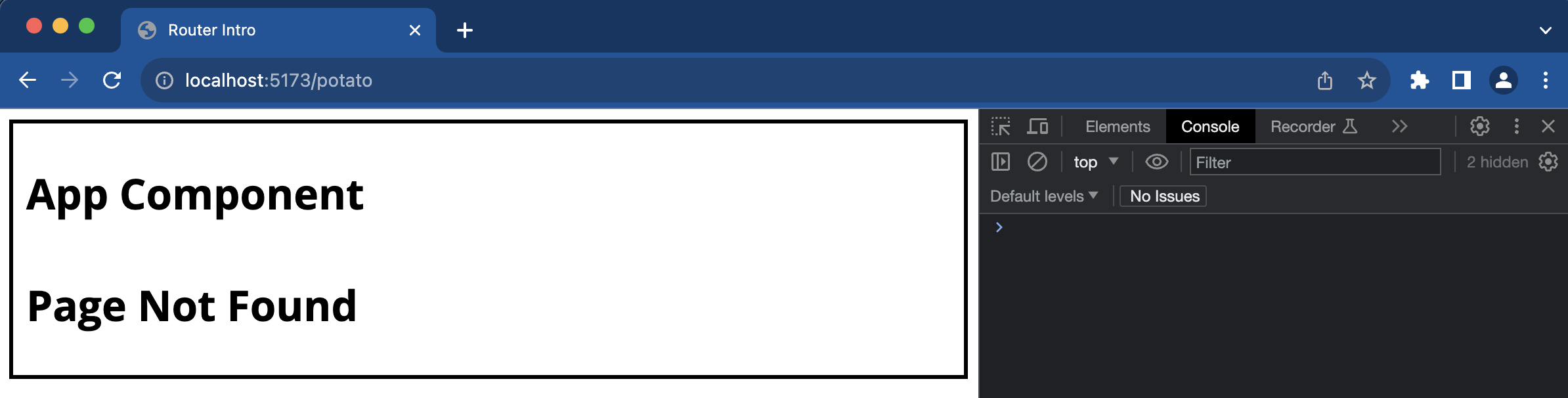 page-not-found